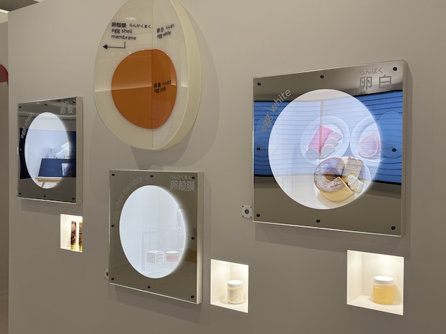 卵黄や卵白など卵の活用方法を紹介する展示