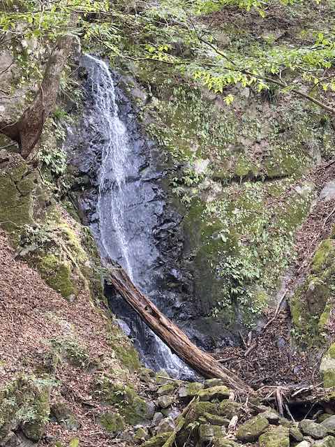 川苔谷の登山道沿いにあるウスバの滝
