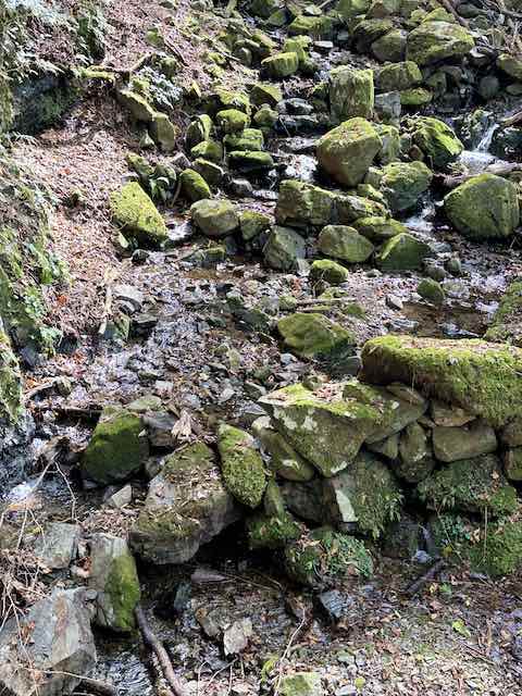川苔谷の渓流沿いに残る石積みのダム跡
