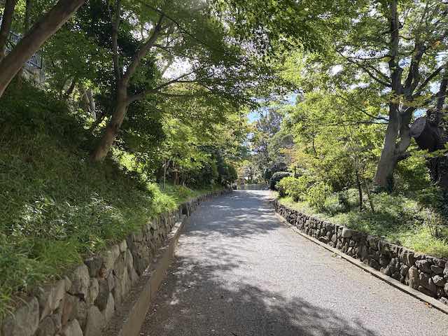 両側に木々が茂る鳩山会館の舗装された坂道