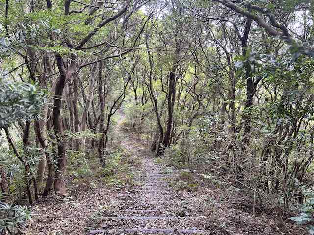 菅島の監的哨へ続く木々に囲まれた未舗装の山道