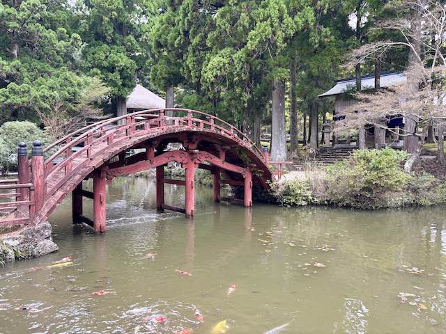 金剛證寺の連間の池に架かる赤い太鼓橋・連珠橋