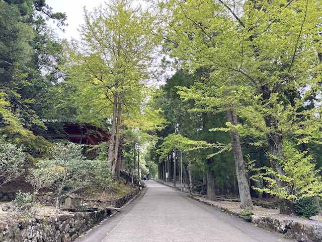 金剛證寺の本堂付近から奥之院へ続く木々に囲まれた参道
