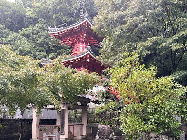 金泉寺の木々の間から見える朱色の多宝塔