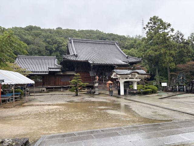 雨に濡れた金泉寺の境内と本堂の全景